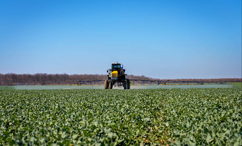 农业机械喷洒杀虫剂到绿色的田野