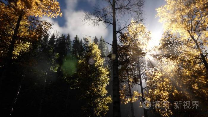 太阳穿过山中岩石上的树木照片 正版商用图片0txwpq 摄图新视界