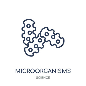 微生物图标。微生物线性符号设计从科学汇集。简单的大纲元素向量例证在白色背景