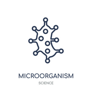 微生物图标。微生物线性符号设计从科学收藏。简单的大纲元素向量例证在白色背景