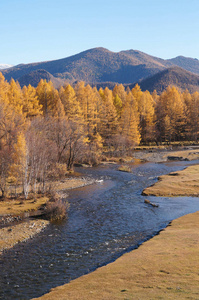 秋天的卡拉科尔山谷, 俄罗斯阿尔泰共和国