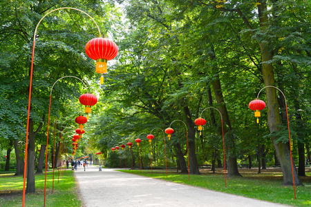 中国在 Lazenki 公园大道。波兰华沙