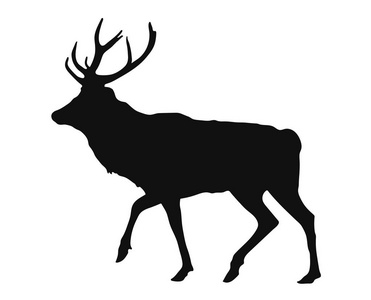 牡鹿的剪影水果和浆果,剪影 苹果 梨 香蕉美丽梅花花图案插图模板美丽