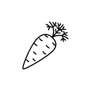 胡萝卜蔬菜的黑白向量例证。新鲜有机胡萝卜根的线图标与叶子。素食和素食。健康饮食成分。白色背景上的独立对象