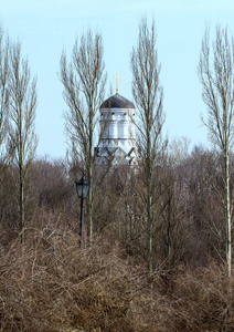早春时在树上穿过旧教堂的圆顶。莫斯科科洛明斯科耶公园景观。俄罗斯宗教建筑