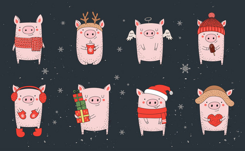 收集可爱的冬季猪。新的2019年。在中国日历中的年份符号。向量动画片查出的例证。黄猪年