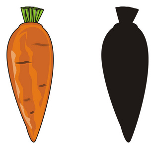 两个不同的胡萝卜