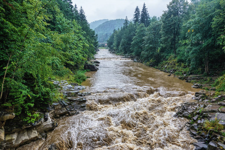 雨中岸边有树的山河