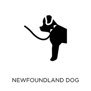 纽芬兰狗图标。纽芬兰狗符号设计从狗收藏。简单的元素向量例证在白色背景