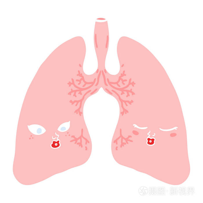 纯色风格动画片肺