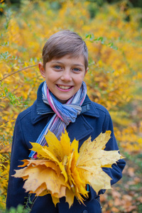秋天自然美丽的孩子的肖像