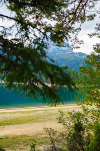 透过森林可以看到黑湖。湖在森林公园 durmitor。黑山。欧洲, 美丽的湖畔阳光穿过树枝