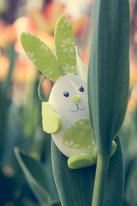 可爱的小兔子玩具隐藏其中的郁金香