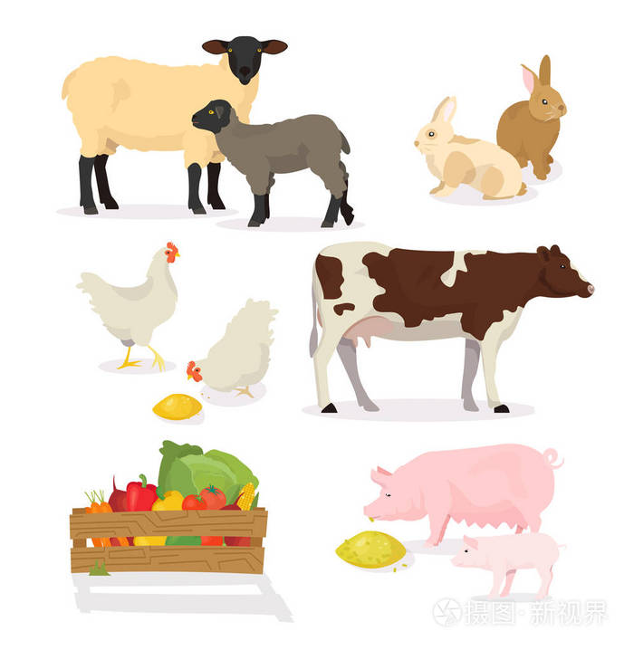 矢量图的猪, 牛, 兔, 羊, 鸡, 羊.农村,农村的牛, 家禽