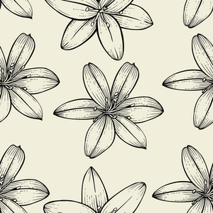 百合花卉图案图片