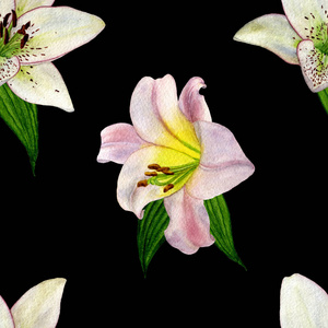 无缝图案水彩画白色和粉红色百合花在黑色的背景。花植物花。适用于背景纹理包装纸图案面料等