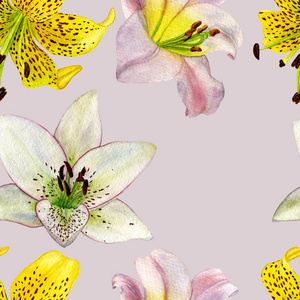 无缝图案水彩画百合。花植物花。适用于背景纹理包装纸图案面料等