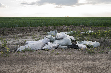 非法废物处理。对环境的污染。用白色包装的垃圾被扔到地里有谷类作物