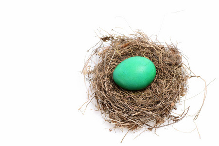 传统的蛋在巢内的绿色颜色中画