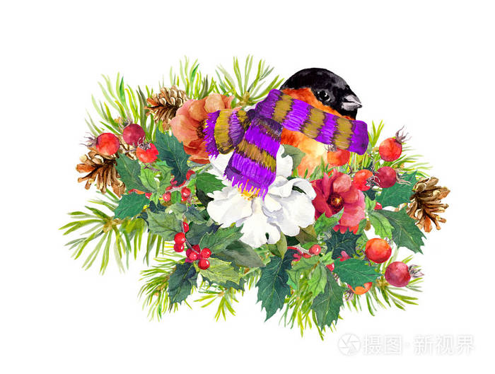 圣诞节作文 雀科鸟 冬花 云杉 槲寄生 水彩照片 正版商用图片0tzgw2 摄图新视界 圣诞节作文 雀科鸟 冬花 云杉 槲寄生 水彩照片 正版商用图片0tzgw2 摄图新视界