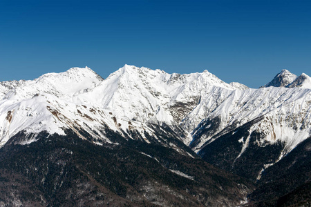 滑雪胜地罗莎  德鲁日。红波利亚纳山。俄罗斯索契