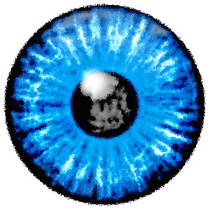 低聚。蓝色的眼睛虹膜，反射光的插图