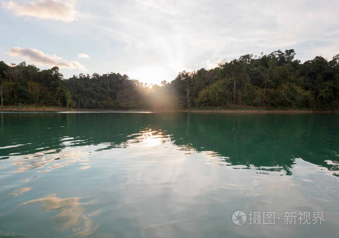 夏天森林河范围风景