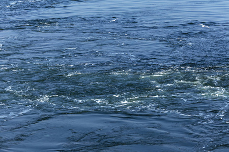 唤醒海图片-唤醒海素材-唤醒海插画-摄图新视界