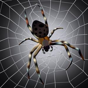 黑暗捕鱼蜘蛛图片