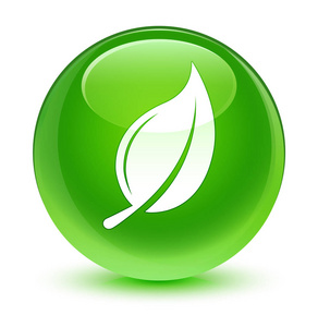 叶按钮叶图标玻绿色圆形按钮照片