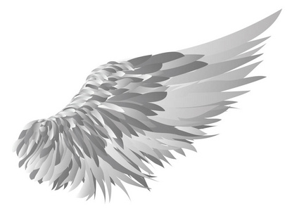 翅膀。在灰色的背景上的矢量图
