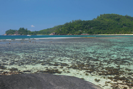 海湾在热带岛屿上。拜拉扎尔，塞舌尔马埃岛