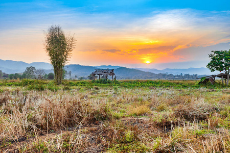 美丽的日落在农村农业旱田与小屋在收获季节的泰国