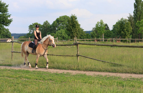 一名年轻女子骑着一匹马 Haflinger