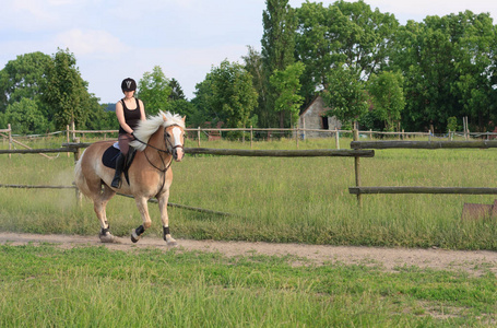 一名年轻女子骑着一匹马 Haflinger