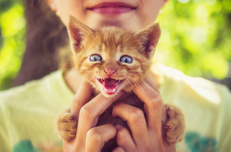 微笑的小女孩，小小猫手里拿着户外