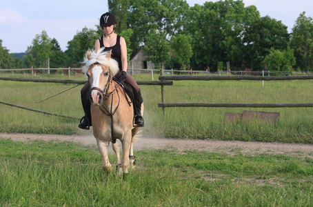 一名年轻女子骑着一匹马 Haflinger