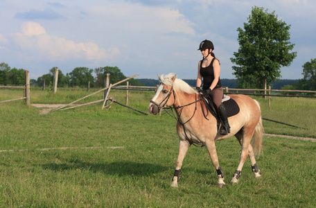 一名年轻女子骑着一匹马 Haflinger