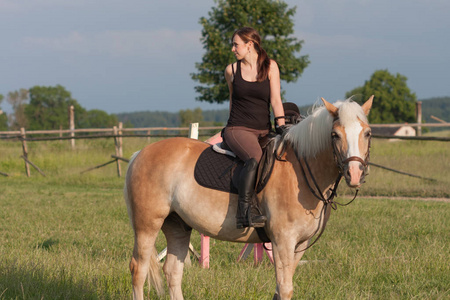 一个年轻的女人，摆上一匹马 Haflinger