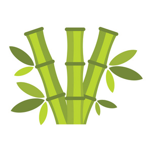 孤立在白色背景上的平面卡通竹青图标照片