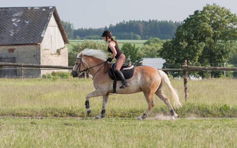 一名年轻女子骑着一匹马 Haflinger