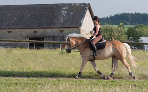 一名年轻女子骑着一匹马 Haflinger