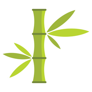 孤立在白色背景上的平面卡通竹青图标照片