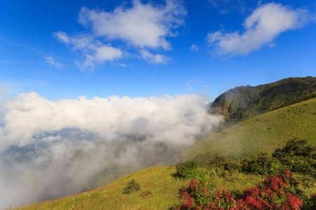 宽阔的草甸与雾和云在蓝天上阳光灿烂的日子在泰国清迈茵他侬山