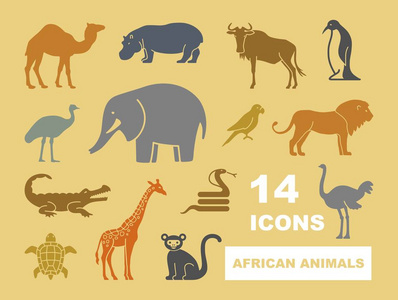 非洲的野生动物