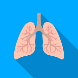 肺中孤立的白色背景上的平面样式的图标。器官象征股票矢量图