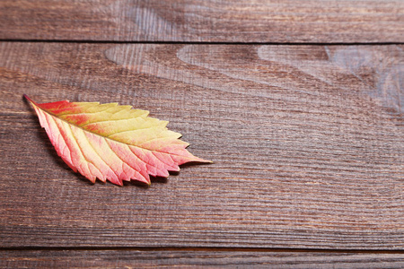 秋天的叶子，木制的桌子上