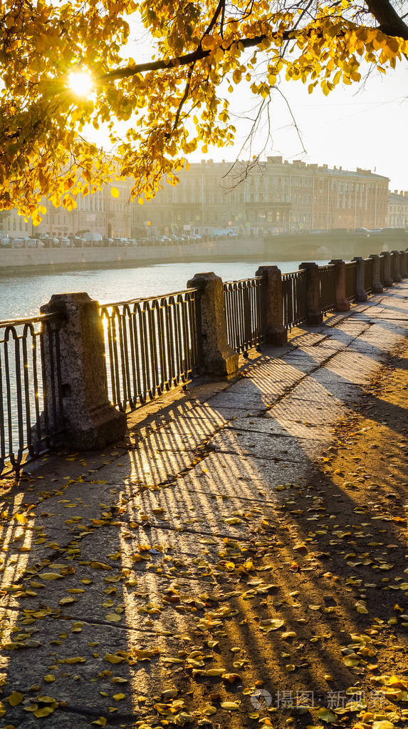 秋天的城市景观.在圣彼得堡的清晨.秋季 2016