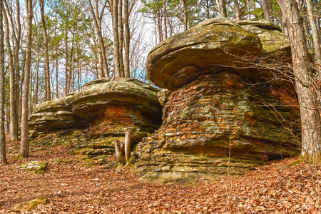彩色的岩石，在森林里