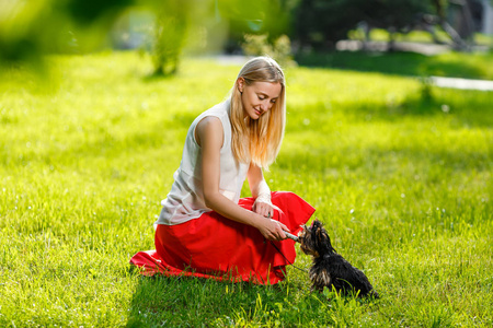 狗和它的主人酷狗和年轻妇女培训在公园团结 友谊 宠物的概念